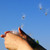Sm_avatar